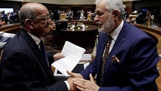 Libya's neighbours discuss restoration of peace and democracy