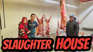 কানাডার স্লটার হাউস/ Slaughter House জীবনে প্রথম দেখলাম! 🇨🇦 #slaughterhouse #canada