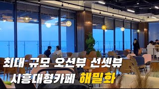 4k) 최대규모 오션뷰 선셋뷰 시흥대형카페 해밀화/ 바다를 바라보며 차를 마시며 힐링하는 카페 해밀화/Ocean view \u0026 sunset view Cafe