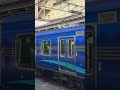 sr1系s102＋101編成長野マラソン臨時列車