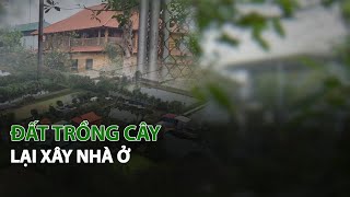 Đất trồng cây lại xây nhà ở| VTC14