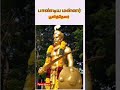 mukkulam tamil kings thevar thevar mass status thevar mass 02 mukkulathor தேவர் tamil