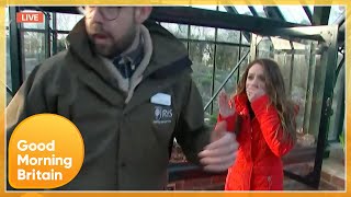 Guest Storms Off After Laura Tobin Accidentally Drops Rare Plant Live On TV | Good Morning Britain