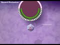 entry of virus into host cell