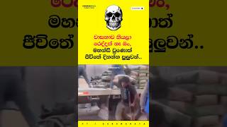 වාසනාව කියලා රෙද්දක් නෑ බං ☠️😈 Motivational Video ~ #motivation #shorts #viral