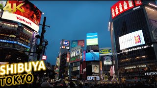 SHIBUYA Blue Hour walk in Tokyo Japan [4K]