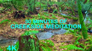 30 Minutes Creekside Meditation, Natural Sounds, Relaxing Music, Peaceful Nature Scenery, Stress Aid