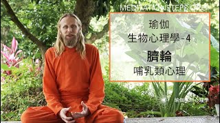 瑜伽生物心理學—4. 臍輪  哺乳類心理