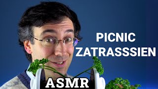 Picnic Zatrassien | ASMR Français (3Dio)