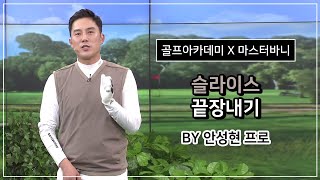 마스터바니에디션, SBS골프아카데미 안성현프로 \