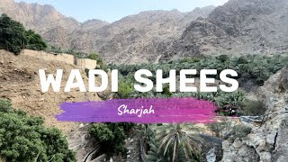 Wadi Shees l Sharjah l Tourist Attractions l Hidden Gems