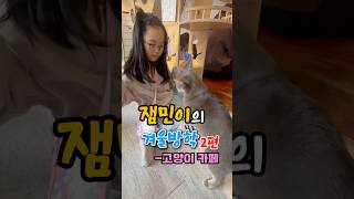 잼민이의 겨울방학 2편 : 고양이 카페 방문! #vlog #브이로그 #고양이 #고양이영상 #고양이브이로그 #구독 #좋아요