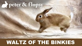 Slow-Motion - Waltz of the Bunny Binkies