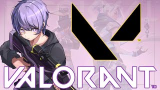 【VALORANT】ブロンズソロ活コンペ！クリスマスももちろん一人【 #個人VTuber】