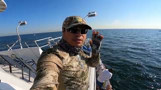 HOW TO CATCH ATLANTIC MACKEREL/BLUEFISH USING MACKEREL