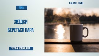 Урок 8. Звідки береться пара. 6 клас. НУШ