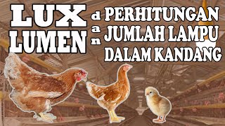 Lux, Lumen dan Perhitungan Jumlah Lampu dalam Kandang Ayam Petelur