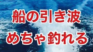 船の引き波が釣れるって本当！？