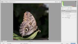 Learn Adobe Photoshop Elements 11 - Part 3: Camera Raw (Training Tutorial)