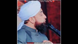 Hamare buzurg farmate the saqib raza mustafai