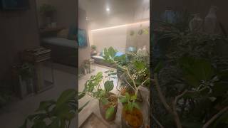 【植物と暮らす家 🌿】インナーテラスのモデルルームをご紹介👀