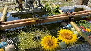 超穴場！素敵な御朱印ゲット〜とっても不思議な神社の巻〜