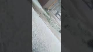 Heavy hail storm in Okara Punjab Pakistan 13th march 2020 (part 3)