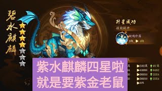 【少年猛將傳】紫金神獸升星二級跳!鐵了心，文湯匙就是要紫金老鼠!挑戰高戰力玩家，停車位被偷襲啦！