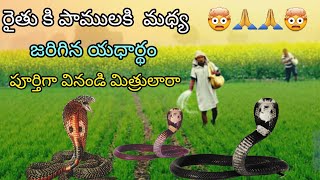 మా పెదనాన్న చెప్పిన రైతు కి పాముకు మద్య జరిగిన సంఘటన గురించి 👌👳‍♀️🐍🤯🙏 @basireddyuppathi