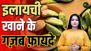 छोटी सी इलायची के बड़े बड़े फायदे | Elaichi Khane Ke Fayde | Benefits Of Cardamom | herbal24