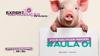 🐖 AULA 01 - REPRODUÇÃO DE SUÍNOS #suinocultura #suinos #ppgvet #aula