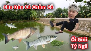 Cáo Ca - Dùng Chuối Câu Được Đàn Cá Chắm Cỏ Tý Gãy Cần || Hậu Cáo Câu Cá