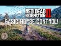 BASIC HORSE CONTROL / Red Dead Redemption 2