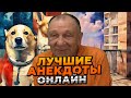 🔴 ЭТО НЕВОЗМОЖНО ПРОПУСТИТЬ! АНЕКДОТЫ, КОТОРЫЕ СМЕШНЕЕ ВСЕГО, ЧТО ТЫ СЛЫШАЛ! 😂