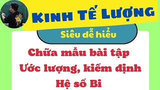 [ Kinh Tế Lượng ] Chữa mẫu bài tập Ước lượng, kiểm định hệ số Bi (siêu dễ hiểu) ♥️ Quang Trung TV