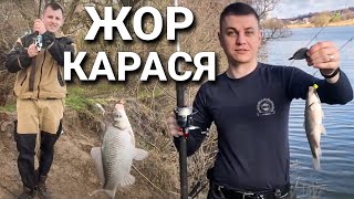 Ловля Карася на Фидер | Матёрый ЖОР Карася НА ДОНУ