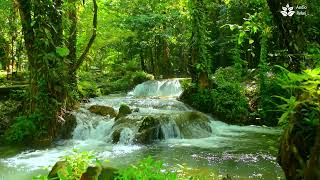 10 Hours of Soothing Turquoise Water Stream and Waterfall Sounds in Rainforest