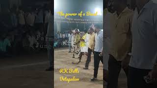 Beast mass entry in court RK Bull's Vetapalem....