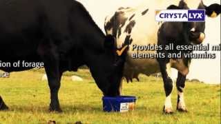 Crystalyx Cattle Booster