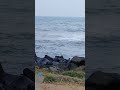 sea🪸🪼🐚 natural scenes கடல் அலைகள் இயற்கையின் அழகு