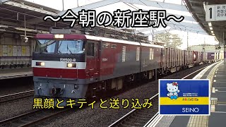 2022.9.17 武蔵野線【金太郎】【キティちゃん】【E257系】〜今朝の新座駅〜 黒顔とキティと送り込み