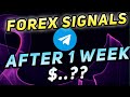 Telegram Forex Signals results after 1 week