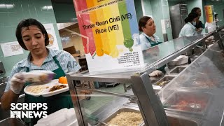 Nutritionists fear USDA updates to school lunches may go a bit too far