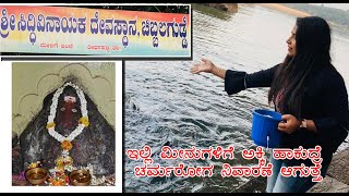 ಚಿಬ್ಲುಗುಡ್ಡೆ | ಚರ್ಮರೋಗವನ್ನು ನಿವಾರಿಸುವ ಮೀನುಗಳು | Thirthahalli Ganesha temple|Shivmoga | MCVJ KOUSALYA