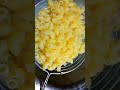 would you eat this mac how it make delicious and taste macaroni shortsvideo food pasta macaroni howt