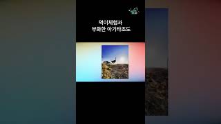 국내 경남고성 여행 명소 TOP5 #shots