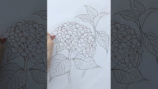 나비가 모여 피어난 꽃 |  수국꽃 그리기 | Hydrangea Flower Drawing