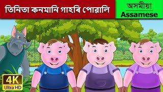 তিনিতা কনমানি গাহৰি পোৱালি | Three Little Pigs in Assamese | Assamese Story | Assamese Fairy Tales