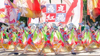 [4K] 恵庭紅鴉　【セミファイナル演舞】YOSAKOIソーラン祭り 2022 日曜日 (中央)