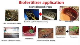 Using Biofungicides, Biostimulants and Biofertilizers